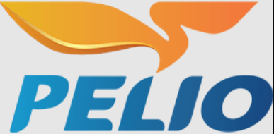 1885 CÔNG TY CỔ PHẦN TẬP ĐOÀN PELIO (TRẠM XĂNG DẦU TÂN PHÚ).png