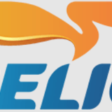 1885 CÔNG TY CỔ PHẦN TẬP ĐOÀN PELIO (TRẠM XĂNG DẦU TÂN PHÚ)