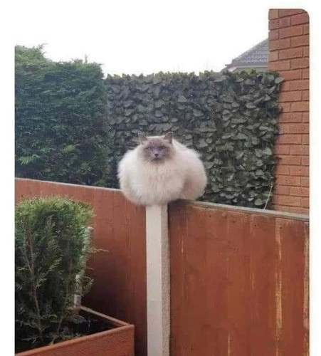FZ a7h2XkAAZtCl?format=jpg&name=orig.jpg