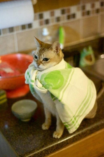 FU0px bXEAIy6M ?format=jpg&name=orig.jpg