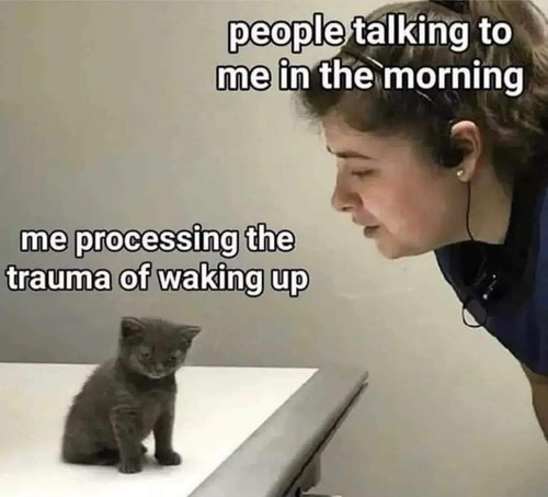 FUWhqznWIAAqg3W?format=jpg&name=orig.jpg