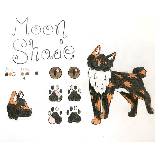 78A6E03F 66D9 468F 8AE4 47D9176D583F.jpg