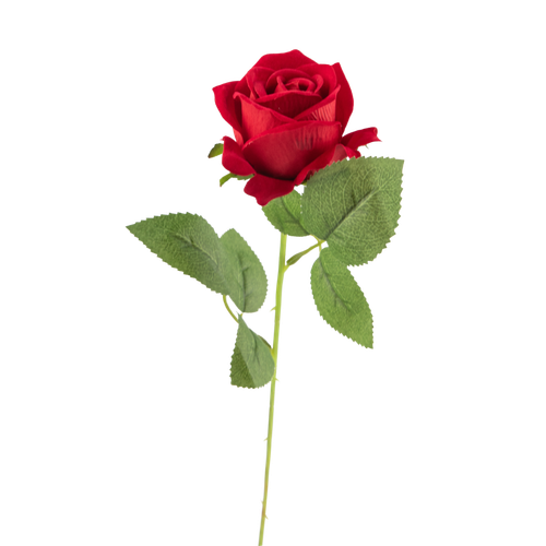 —Pngtree—rose simulation plant romance 6524921.png