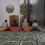  DSC5524