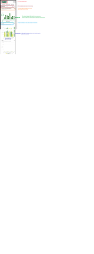 Mobile view dashboard.png