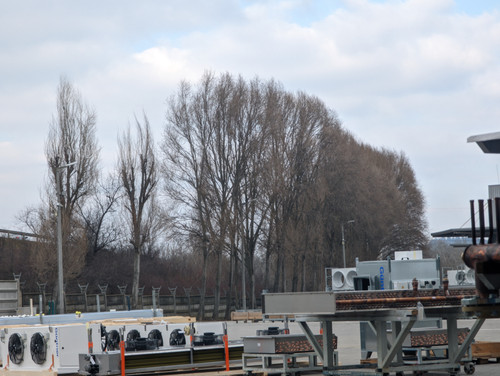 PXL 20230214 122151960.jpg