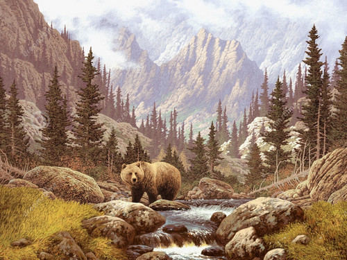 grizzly bear rocky mountains 517710.jpg