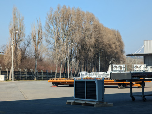 PXL 20230209 114553779.jpg