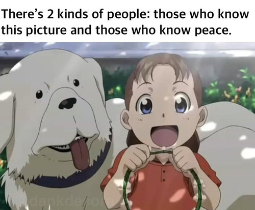 1675951662780.jpg
