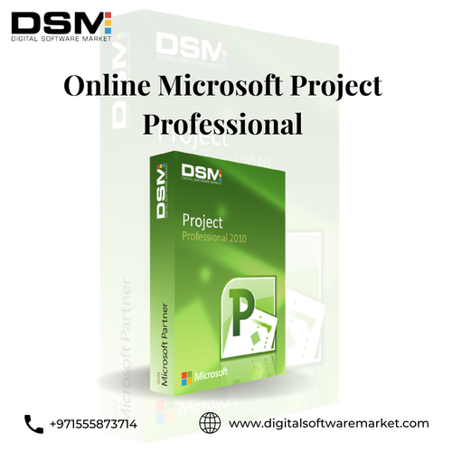 Online Microsoft Project Professional.png