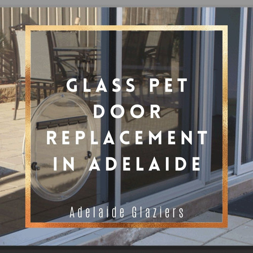 Glass Pet Door Replacement In Adelaide.jpg