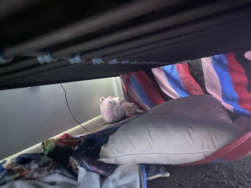 42C643CA ED93 4D96 A606 9404BA8F44E6.jpg