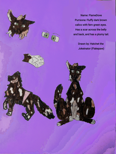 Untitled126.png