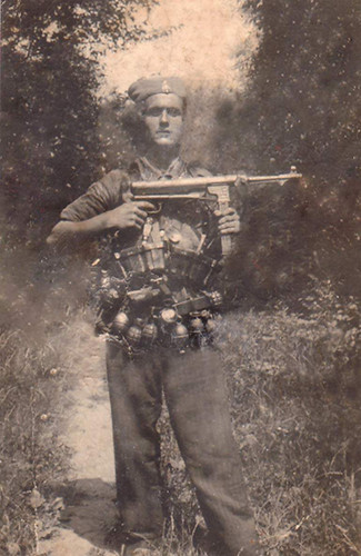 11924512.jpg