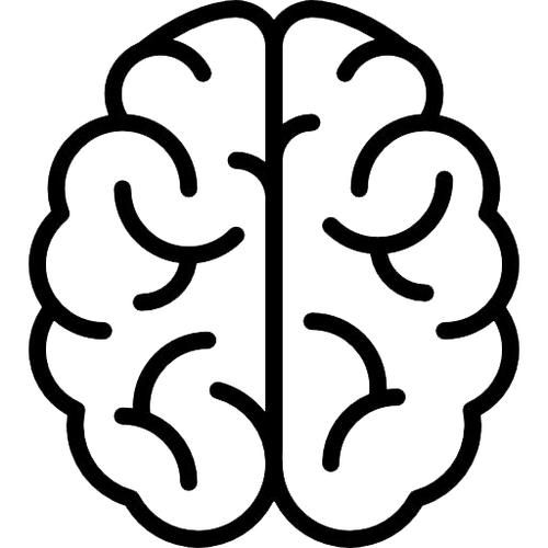 brain.png