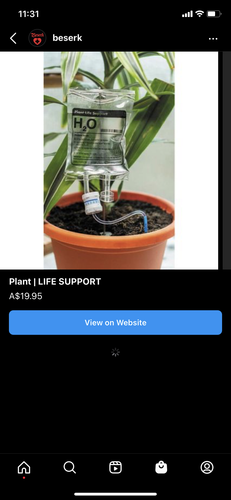 IMG 6196 (1).png