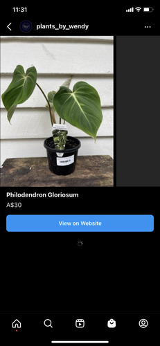 IMG 6194 (1).png