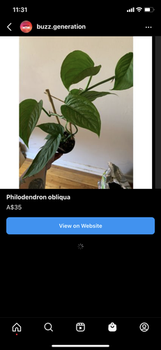 IMG 6198 (1).png
