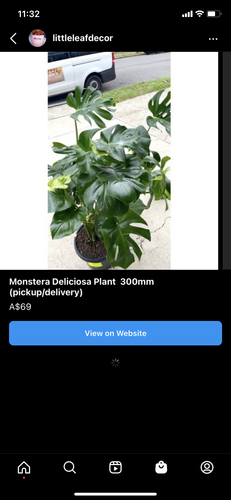 IMG 6205 (1).png