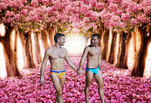spring – kopie.jpg