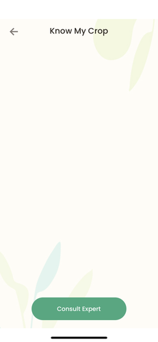 IMG 3866.png