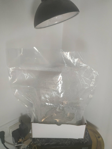 IMG 20230215 100014.jpg
