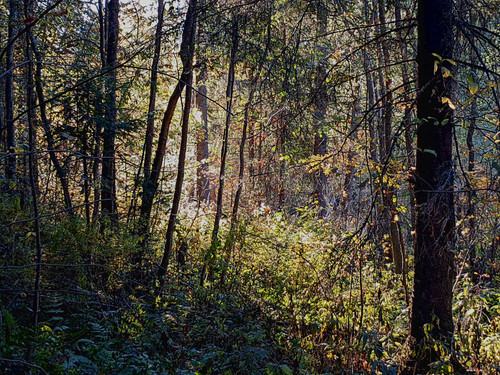 AGCD 20220928 2.jpg