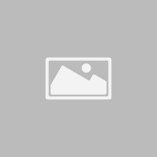 download (1).png