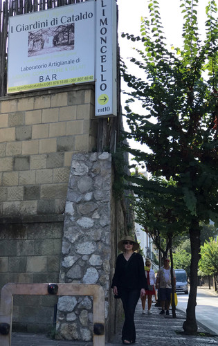 Limoncello factory in Sorrento.jpg