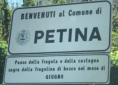 Petina.jpg