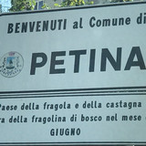 Petina