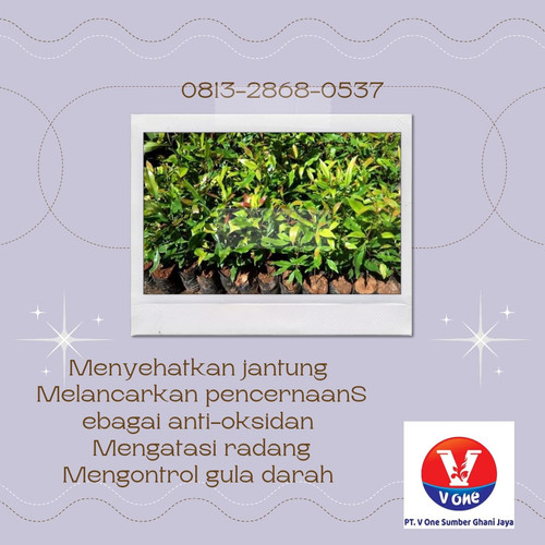 WhatsApp Image 2022 11 23 at 23.13.09.jpg
