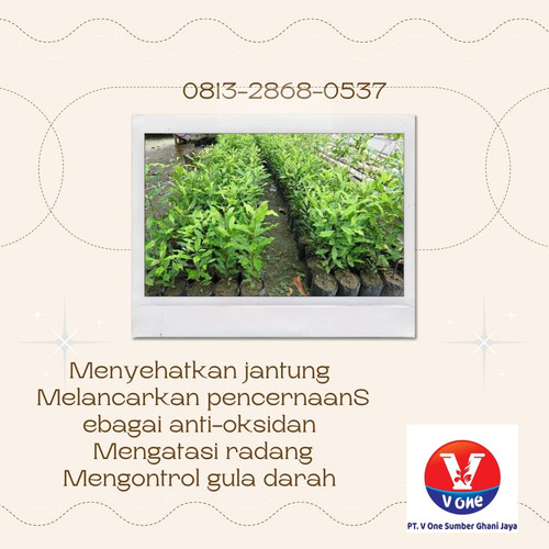WhatsApp Image 2022 11 23 at 23.13.09 (1).jpg