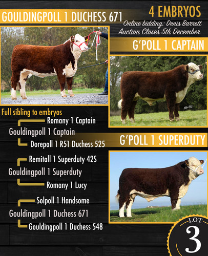 Lot 3 Duchess 671 x Captain OR Superduty.jpg