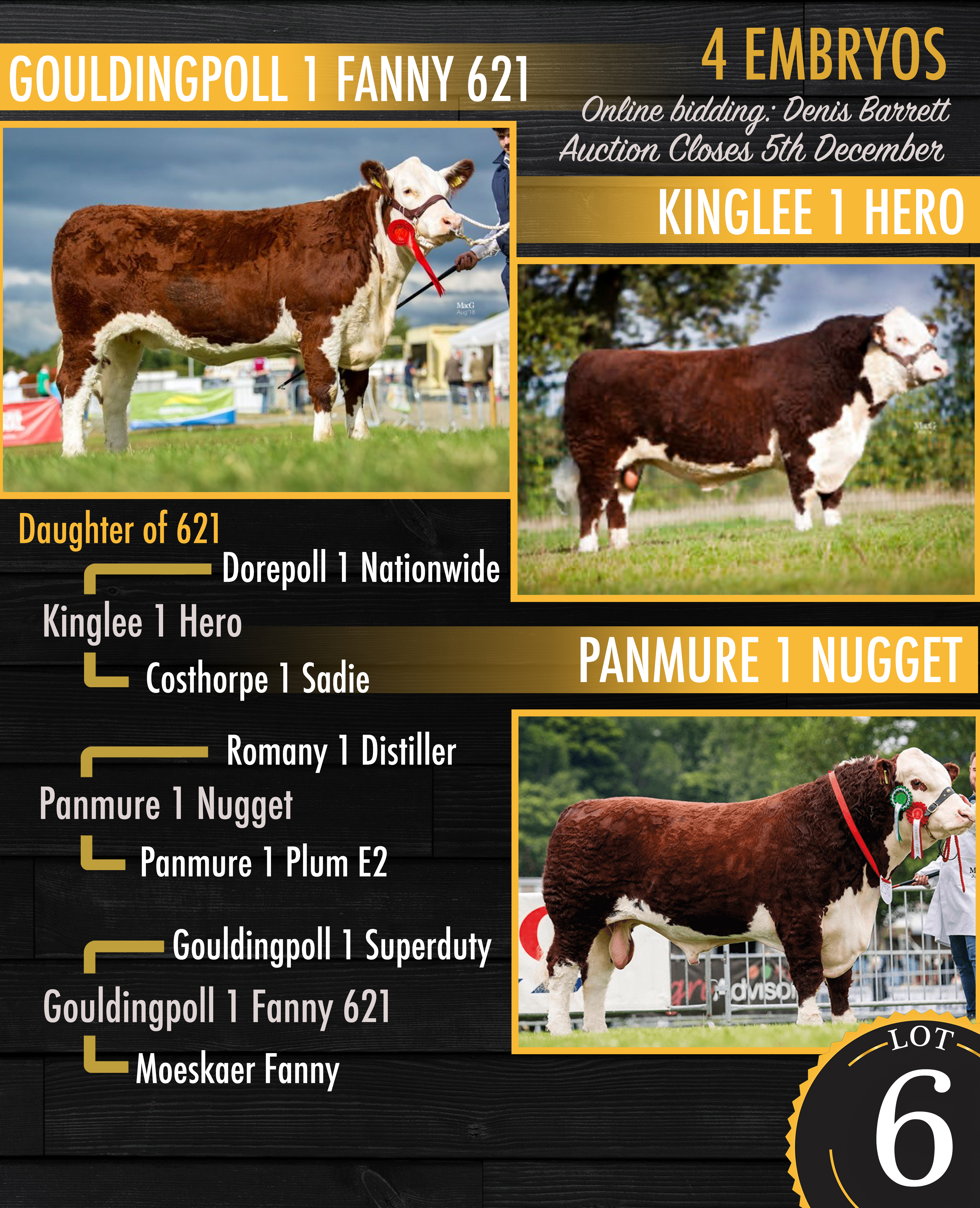 Lot 6 Fanny 621 x Hero or Nugget