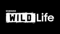 Samsung Wild life Logo.png