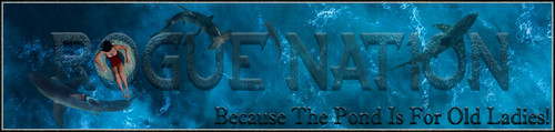 Shark Banner.jpg