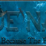 Shark Banner