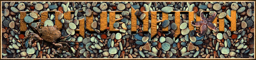 Beach Banner.jpg