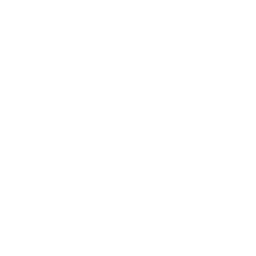 Settingsicon.png