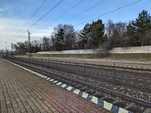 PXL 20230220 152506260.NIGHT.jpg