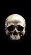 skull.jpg