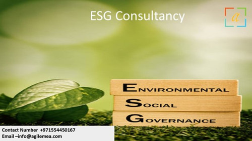 ESG Consultancy 2.jpg