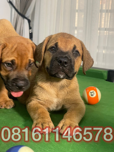 693FF548 EEE5 4075 811F DF836A22E60F.jpg