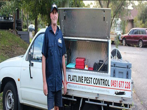 Flatline Pest Control - Best Pest Control Central Coast.jpg