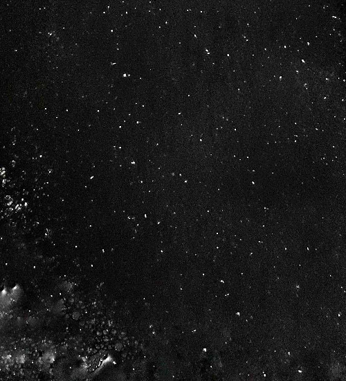 daddyissues Recovered.jpg