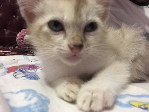 55BBE39A 4554 4FB3 9E0C 04C097CC14A1.jpg