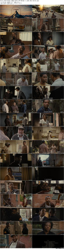 Fences.2016.BluRay.1080p.2Audio.DTS HD.MA.7.1.x265.10bit BeiTai preview.jpg