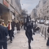 konacka2.gif
