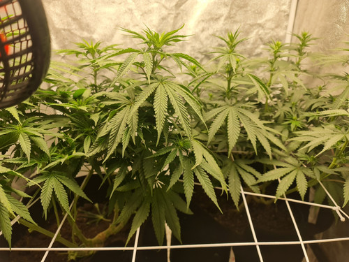 20230215 163312[1].jpg